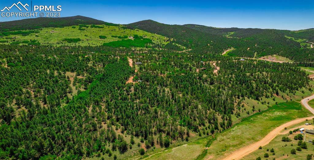 55 Summit Circle Cripple Creek, CO 80813 - Photo 4 of 5 a view of an lush green mountain