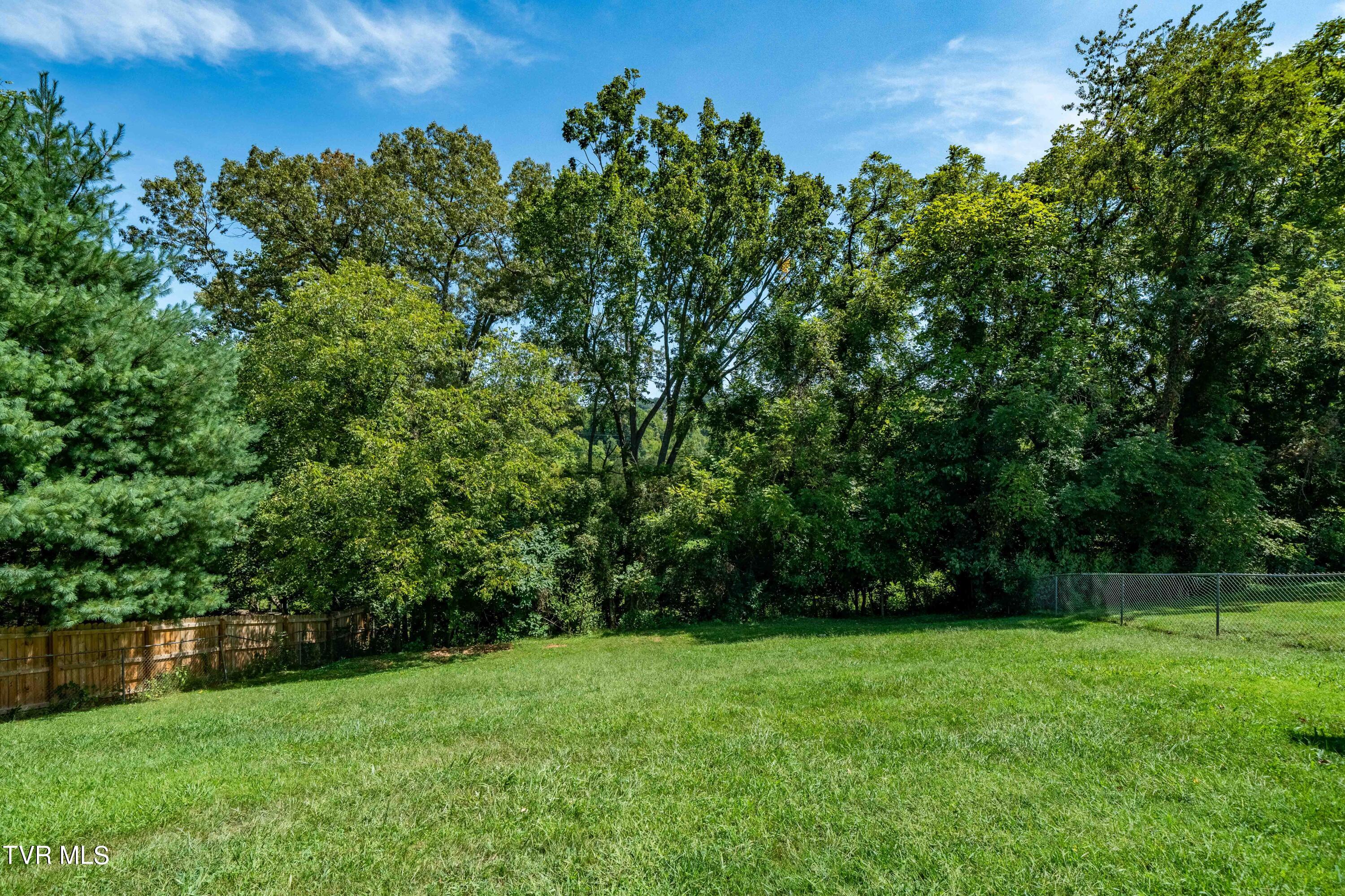 228 Gray Station Road Gray, TN 37615 - Photo 42 of 44 228 Gray Station Rd (16 of 47)