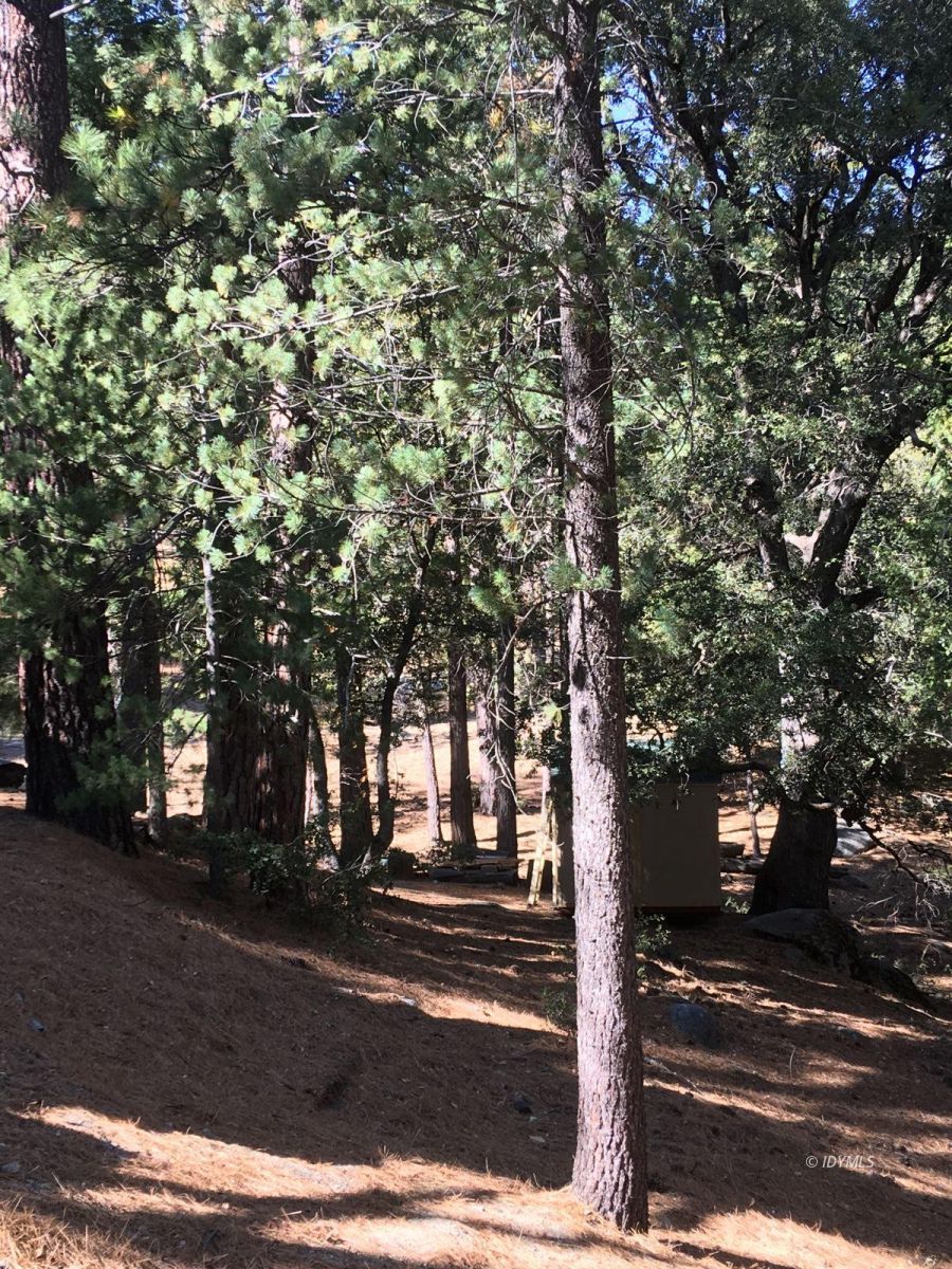 52641 4s02 Idyllwild, CA 92549 - Photo 25 of 36 a street sign on the side of the road