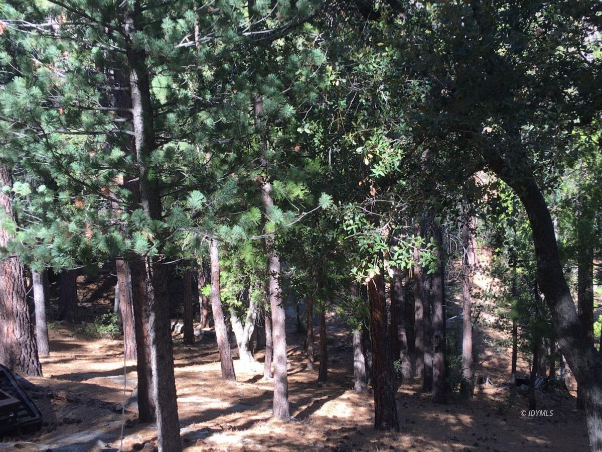 52641 4s02 Idyllwild, CA 92549 - Photo 26 of 36 a view of a outdoor space