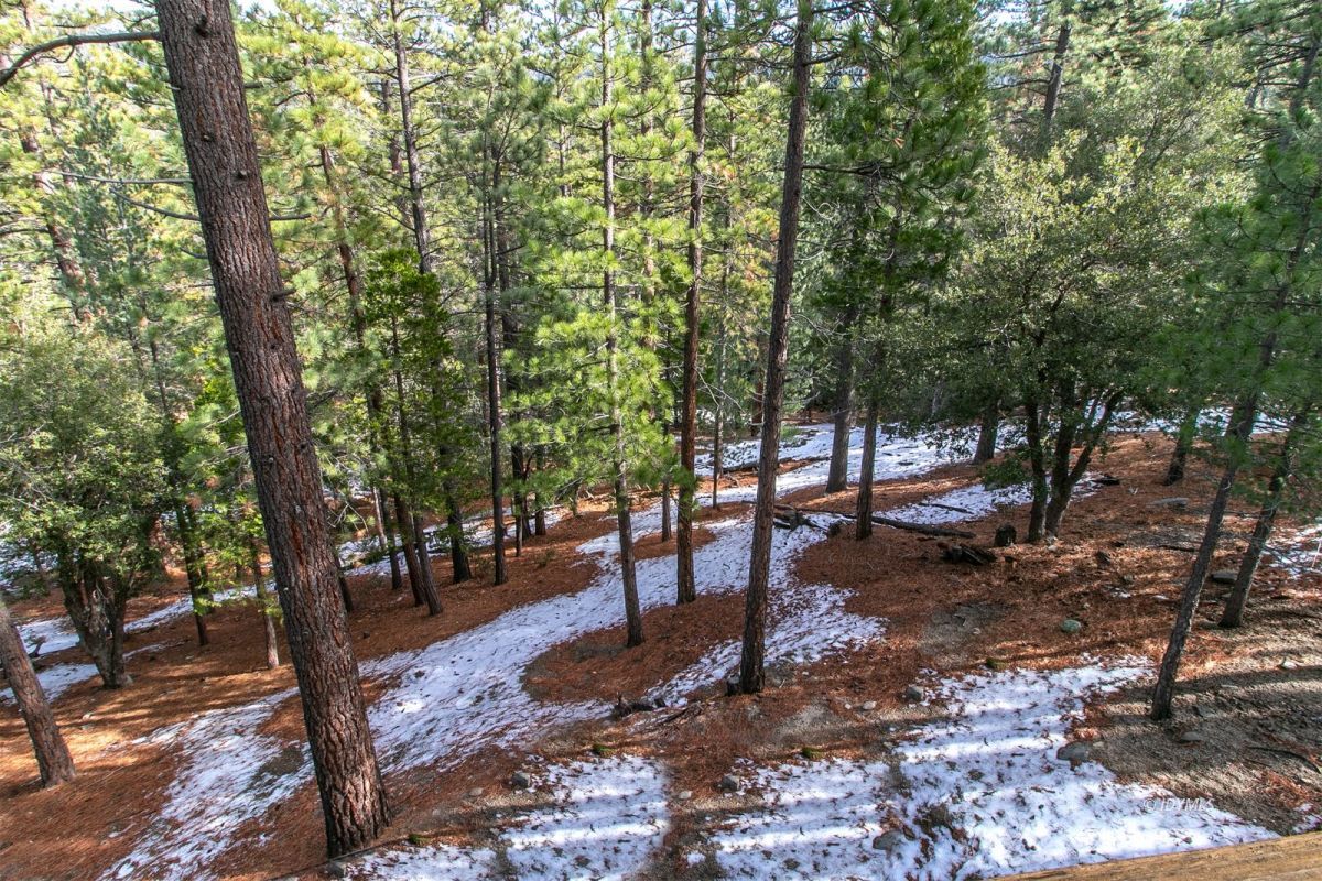 52641 4s02 Idyllwild, CA 92549 - Photo 27 of 36 a view of a park with large trees