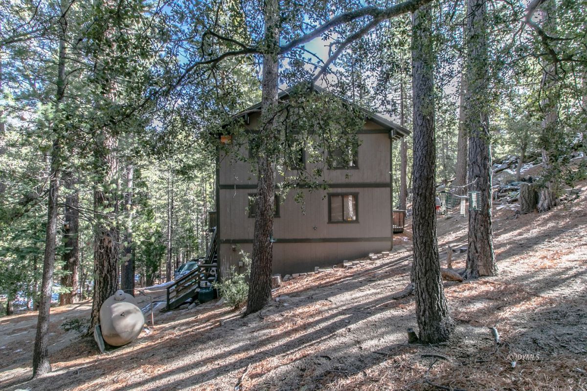 52641 4s02 Idyllwild, CA 92549 - Photo 31 of 36 a view of a house with a yard tree s