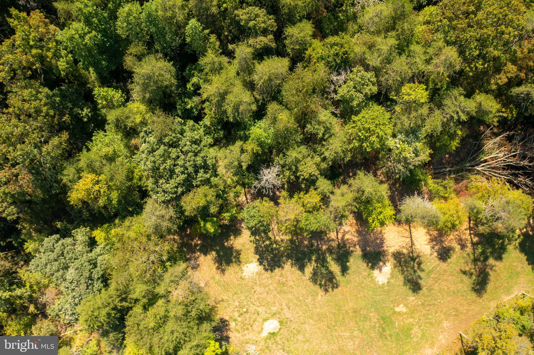 Pine Ridge Marshall, VA 20115 - Photo 11 of 30 plenty of room in woods to clear for home site