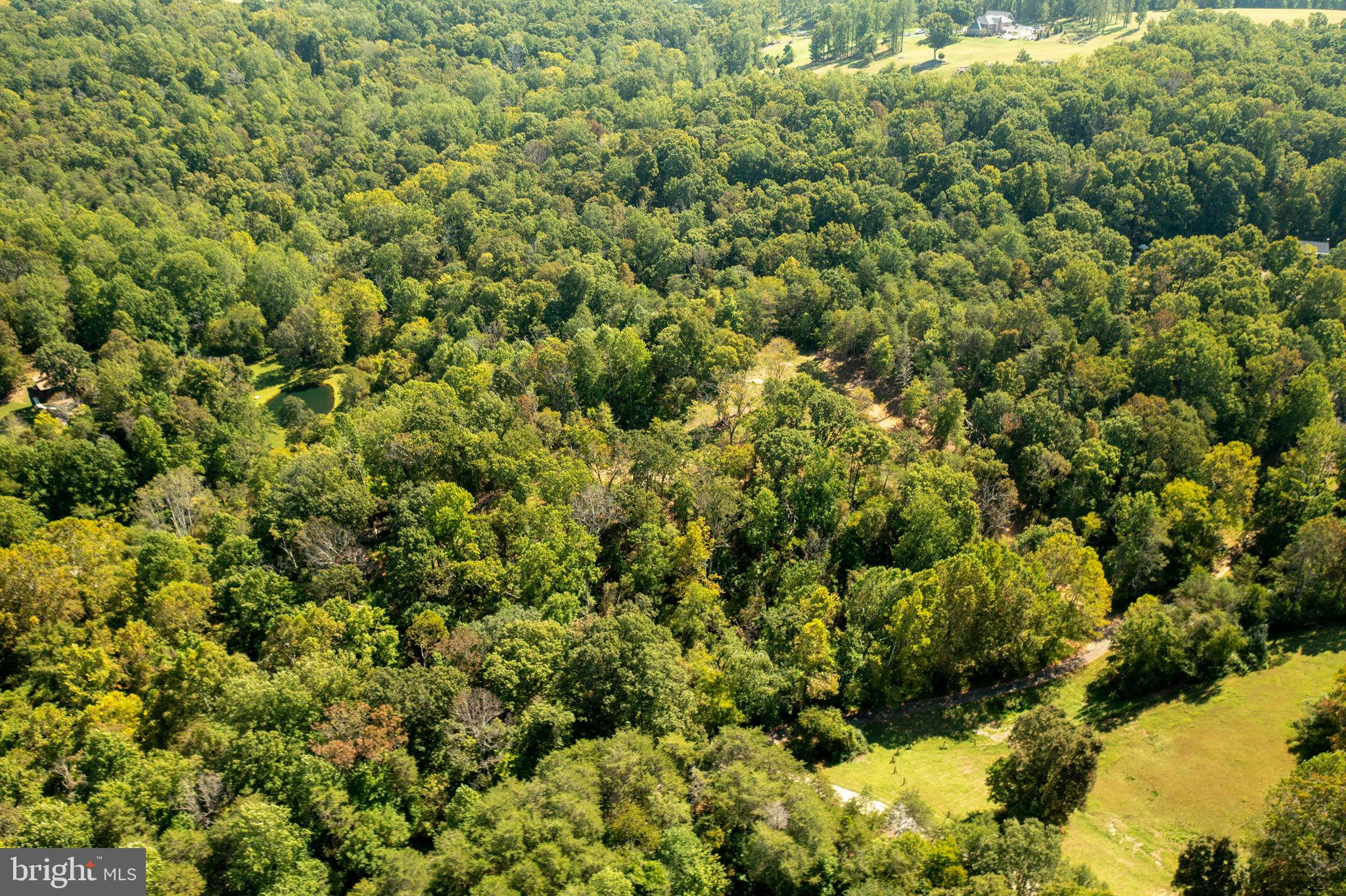 Pine Ridge Marshall, VA 20115 - Photo 14 of 30
