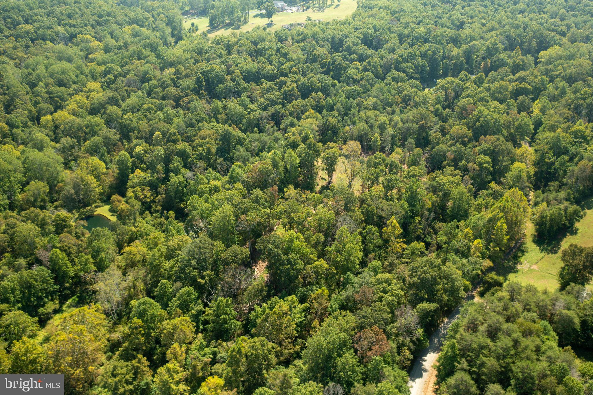 Pine Ridge Marshall, VA 20115 - Photo 16 of 30