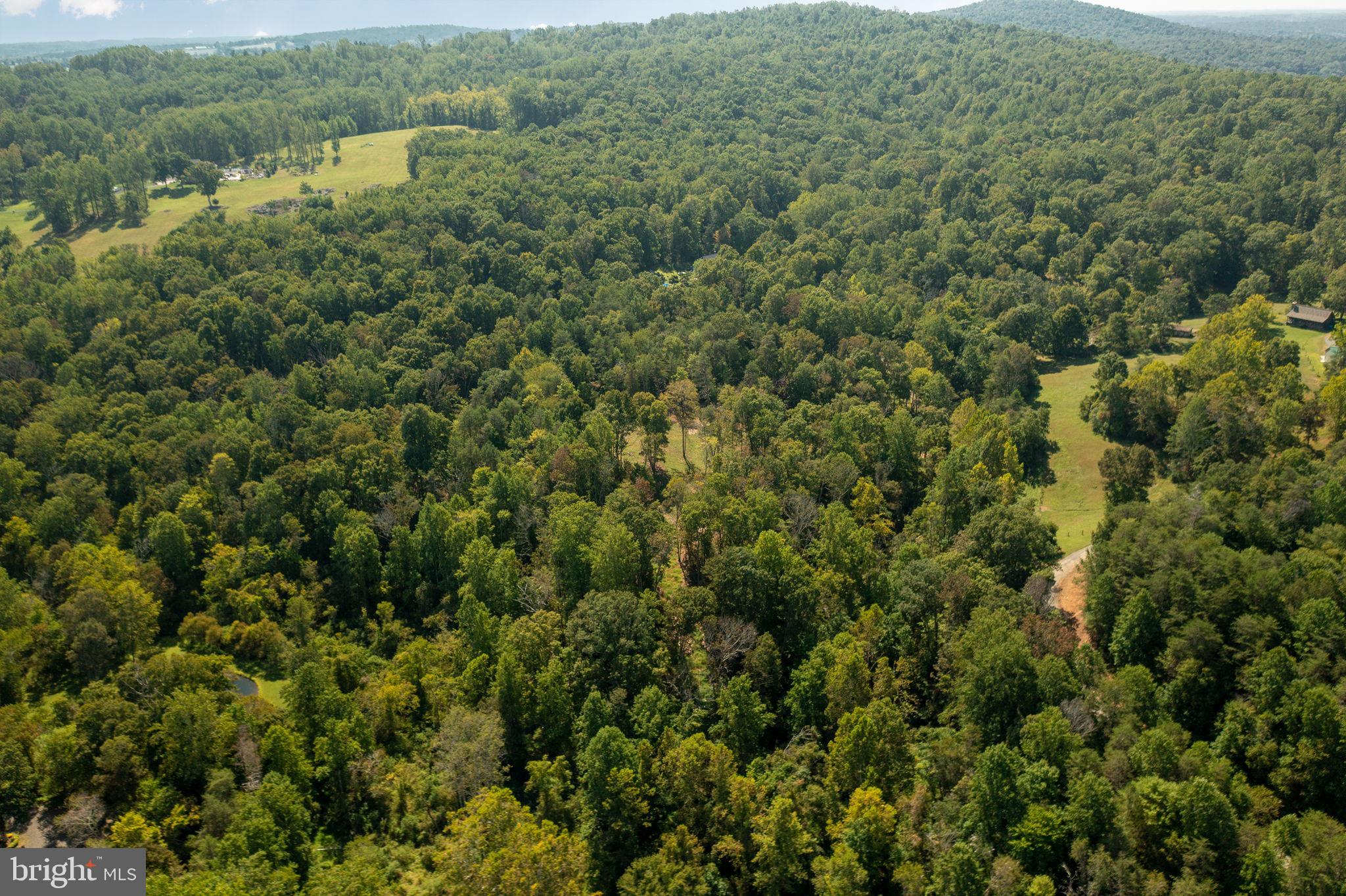 Pine Ridge Marshall, VA 20115 - Photo 17 of 30