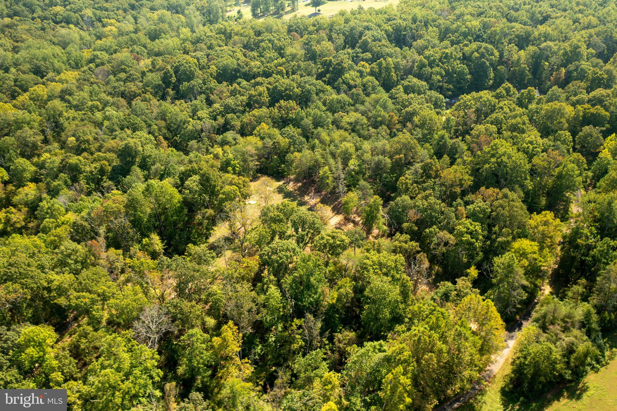 Pine Ridge Marshall, VA 20115 - Photo 26 of 30 large enough for home/pool, level backyard