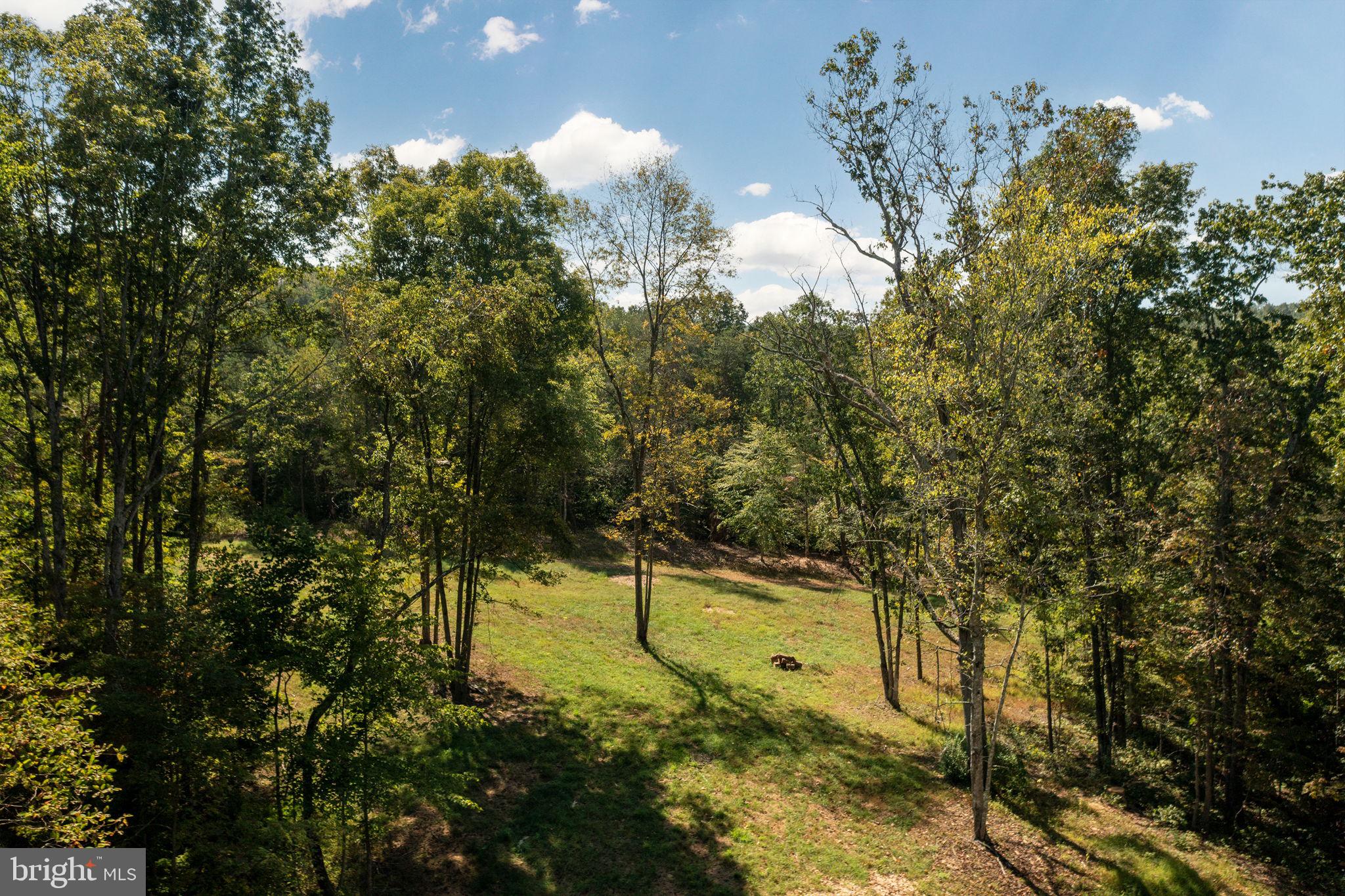 Pine Ridge Marshall, VA 20115 - Photo 3 of 30 looking up towards homesite