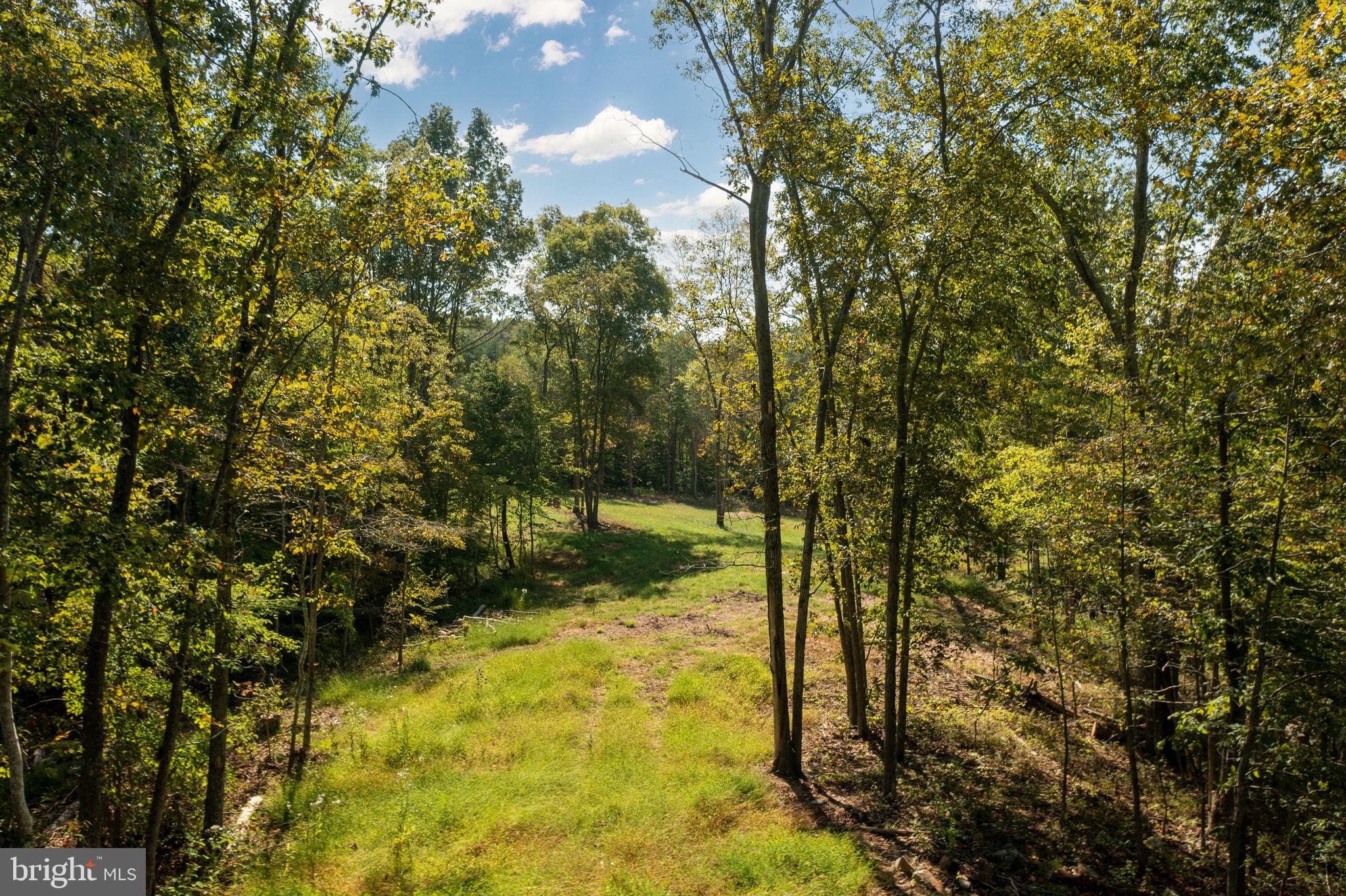 Pine Ridge Marshall, VA 20115 - Photo 4 of 30