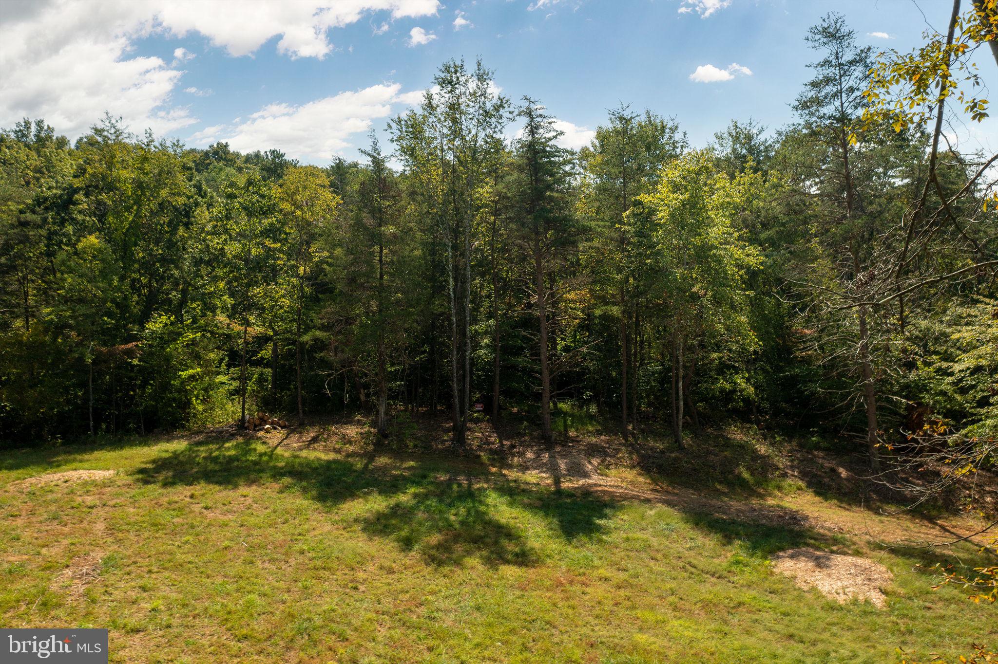 Pine Ridge Marshall, VA 20115 - Photo 5 of 30 cleared to edge of woods