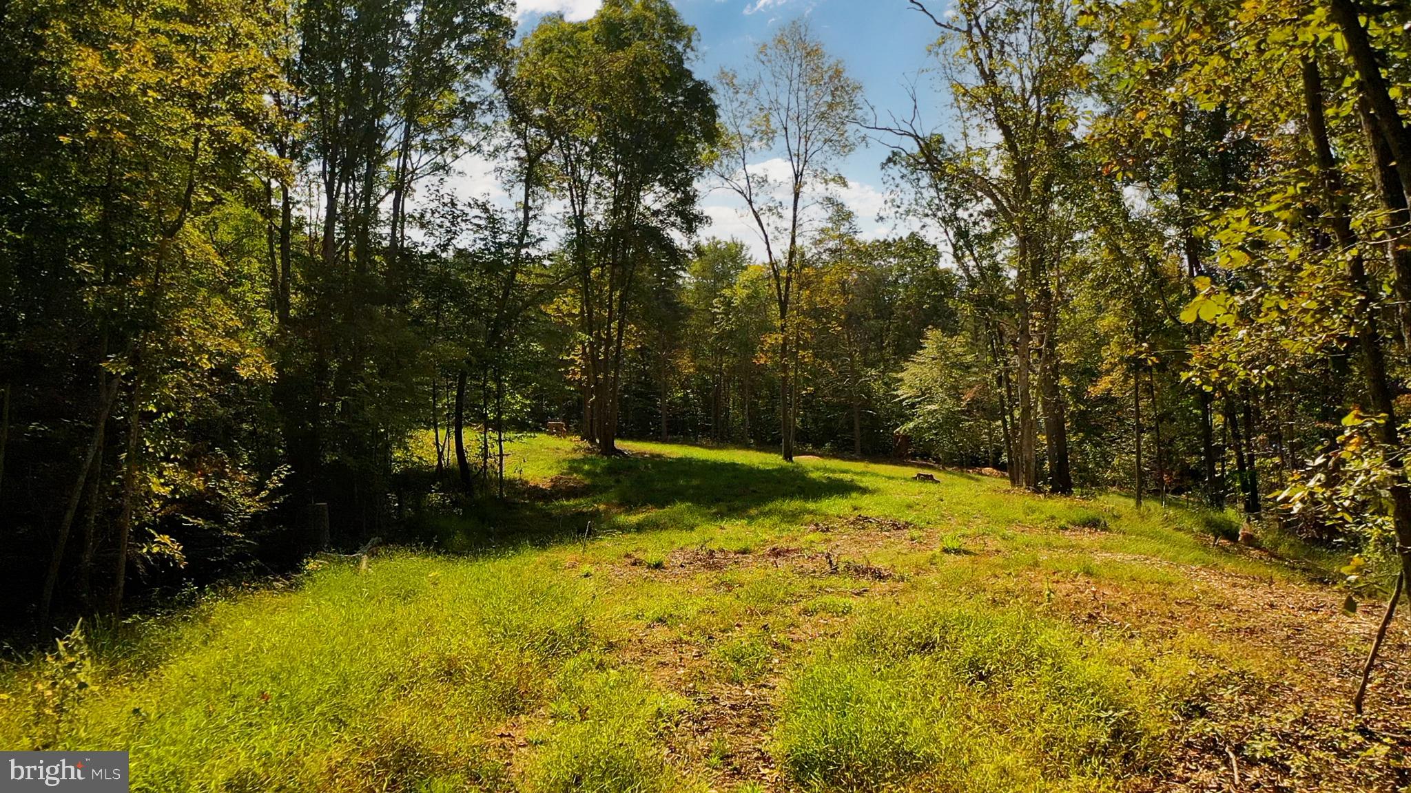 Pine Ridge Marshall, VA 20115 - Photo 10 of 30
