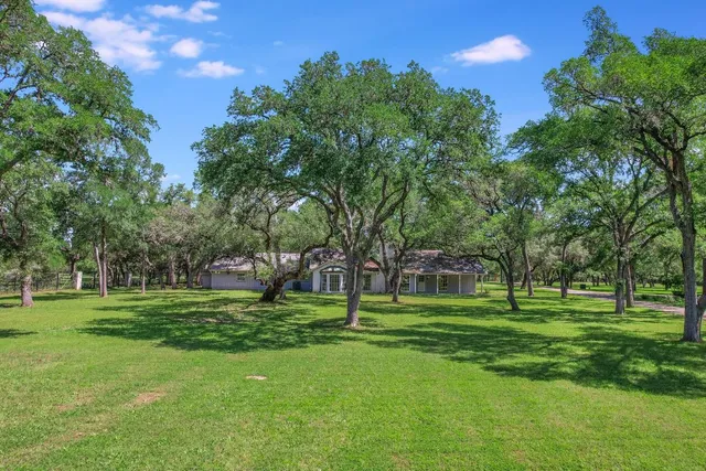a view of a park with a tree