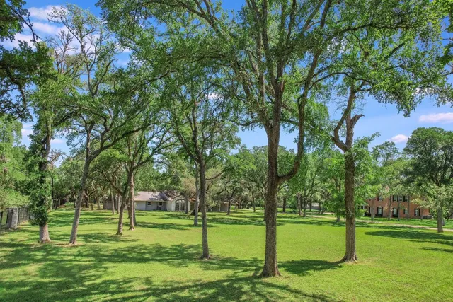 a view of a park with large trees