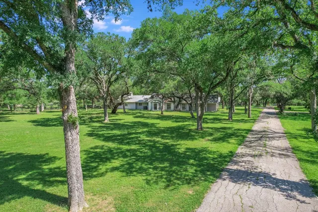 a view of a yard with a large trees