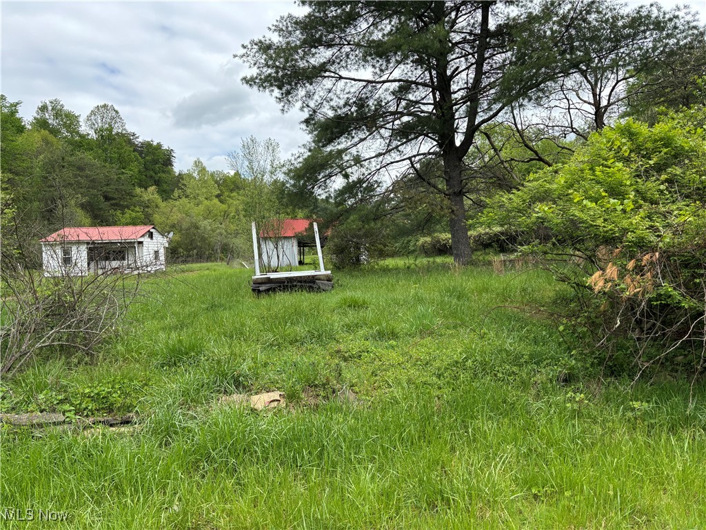 212 Rost Road Walker, WV 26180 - Photo 23 of 29 View of yard