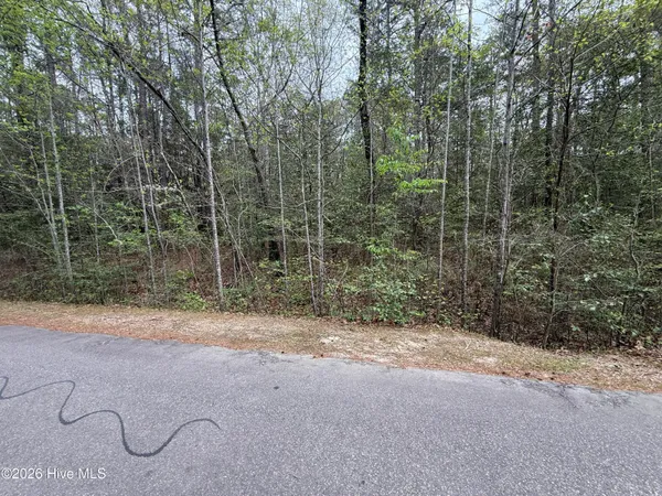$30,000 | 362 Thimbleberry Drive, Vass, NC 28394