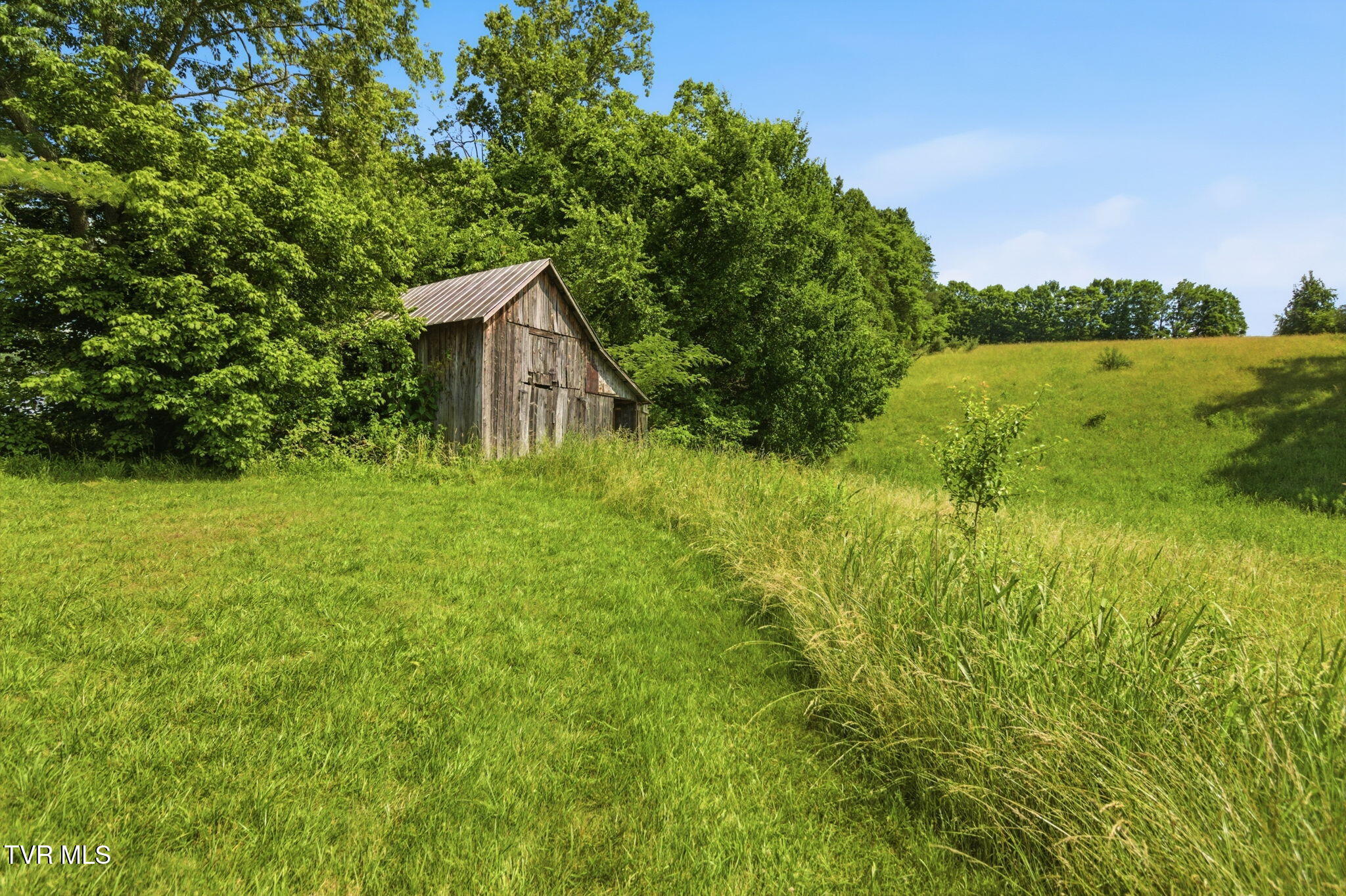 122 East Carters Valley Road Kingsport, TN 37665 - Photo 8 of 45 8-web-or-mls-DZ3A3857