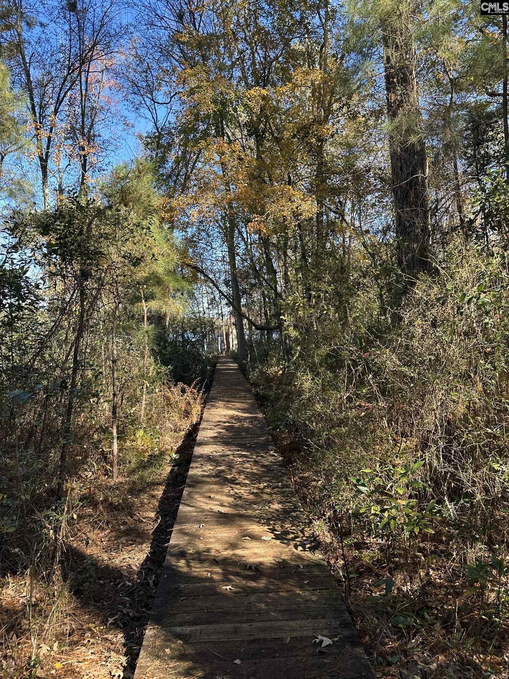 Lot 39 Edisto Lake Road Wagener, SC 29164 - Photo 2 of 9