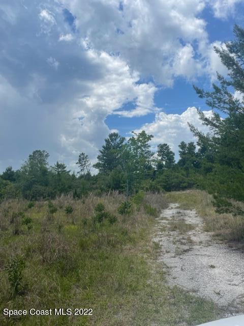 4570 Meadow Green Road Mims, FL 32754 - Photo 1 of 2 IMG_3170