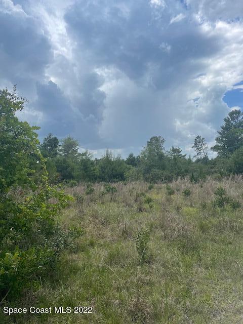 4570 Meadow Green Road Mims, FL 32754 - Photo 2 of 2 IMG_3171