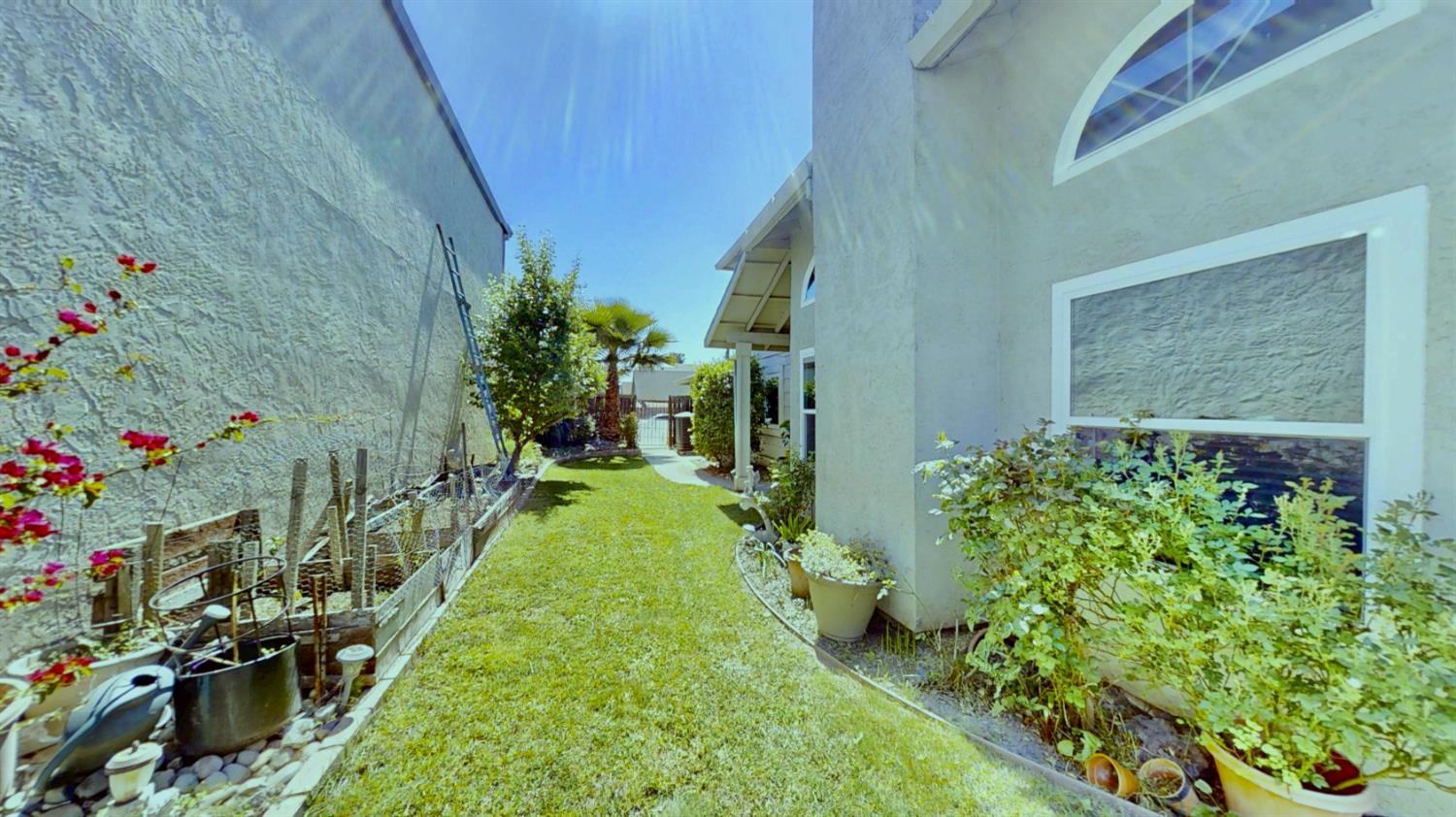 5161 Thomasino Way Antelope, CA 95843 - Photo 34 of 41 a view of a backyard with plants