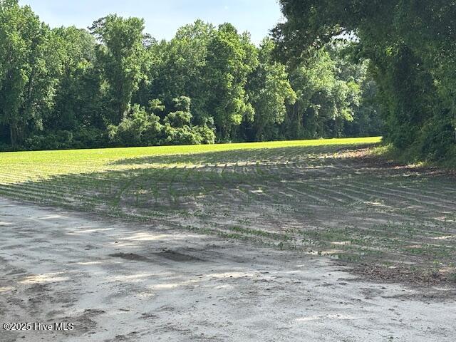 425 Biddle Road Dover, NC 28526 - Photo 22 of 52 IMG_0981