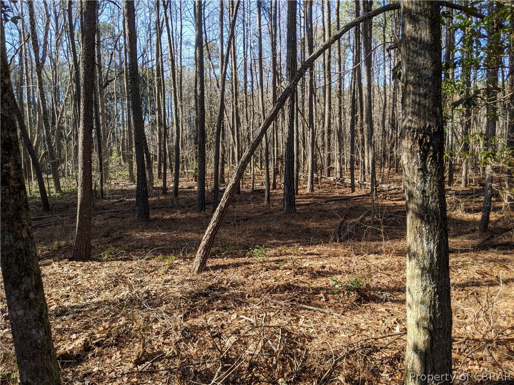 2 Chestnut Fork Road Gloucester, VA 23061 - Photo 8 of 11