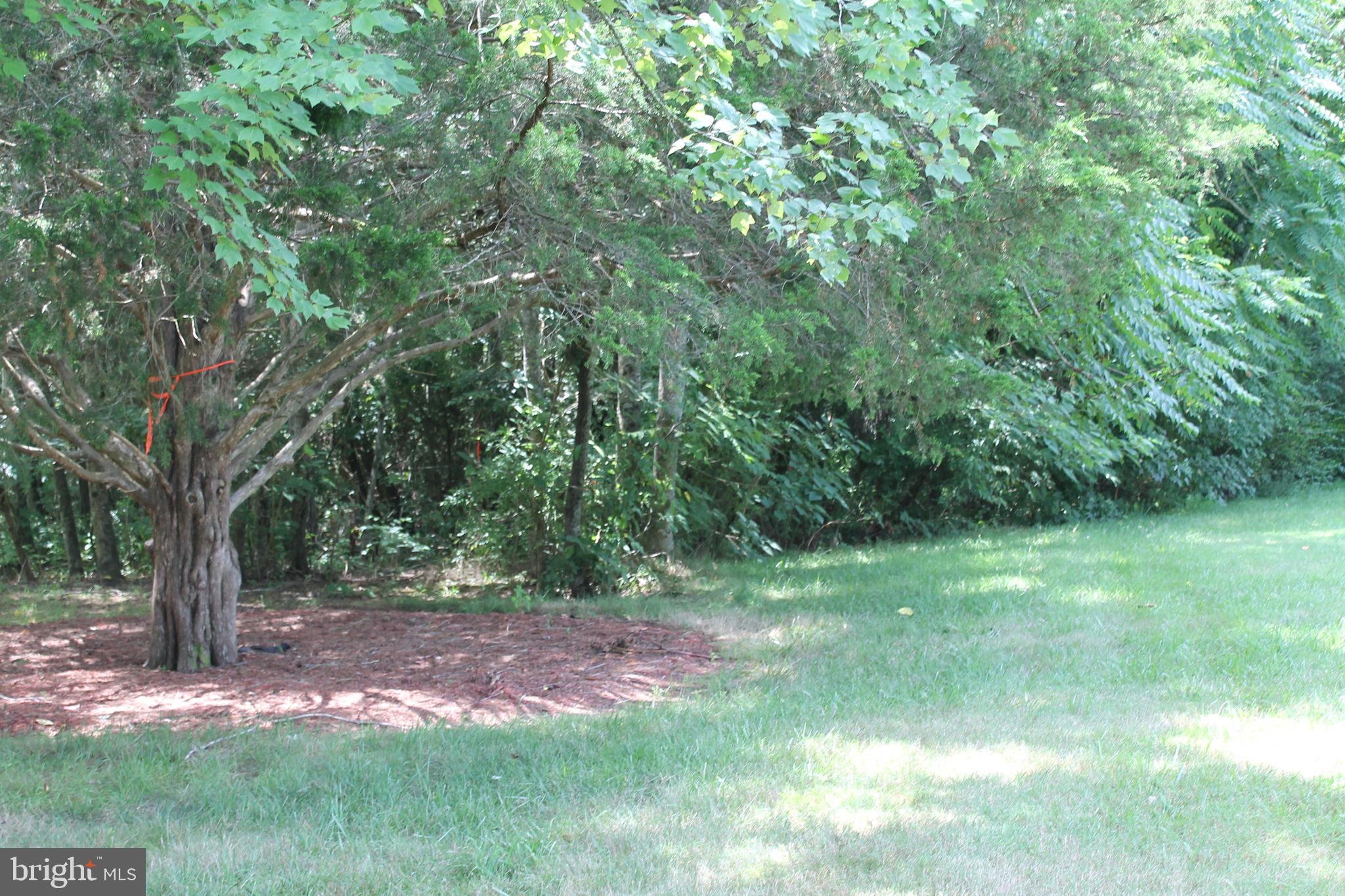 Marye Road Woodford, VA 22580 - Photo 3 of 11 Wooded with lots of privacy