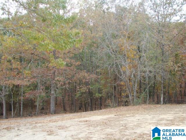 2040 County Road 40 Fruithurst, AL 36262 - Photo 29 of 31