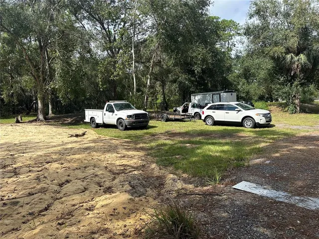 a view of a yard with large trees