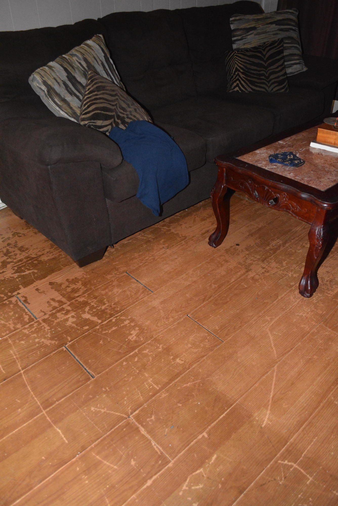 1711 Carson Avenue Chattanooga, TN 37404 - Photo 4 of 19 DSC_0091