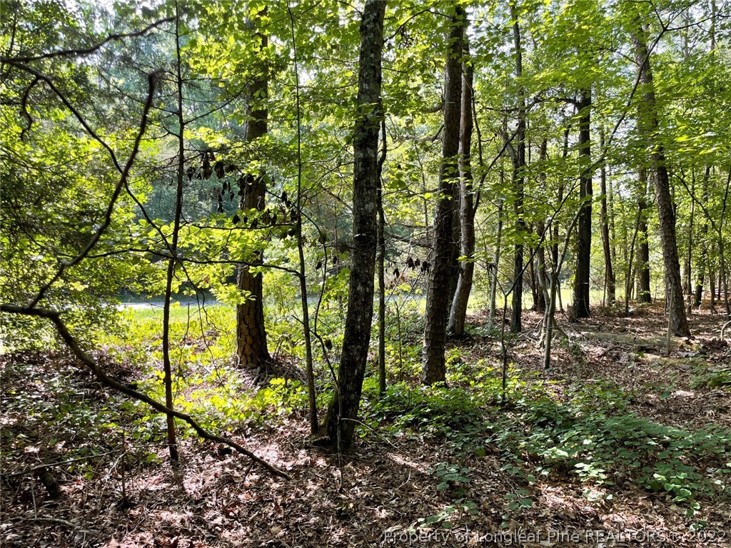 Bennett-siler City Rd Street Bennett, NC 27208 - Photo 12 of 21 Gallery Image 12