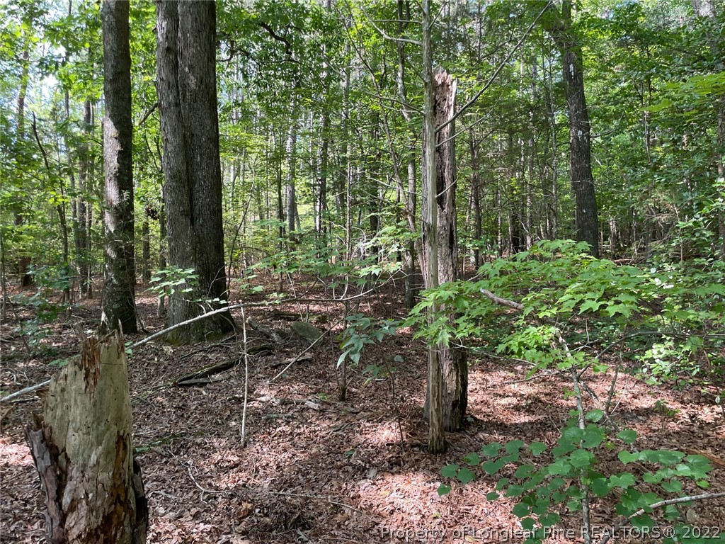Bennett-siler City Rd Street Bennett, NC 27208 - Photo 14 of 21 Gallery Image 14