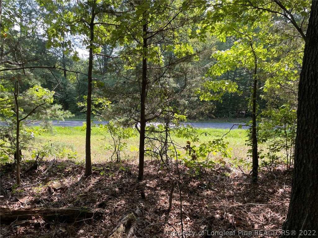Bennett-siler City Rd Street Bennett, NC 27208 - Photo 15 of 21 Gallery Image 15