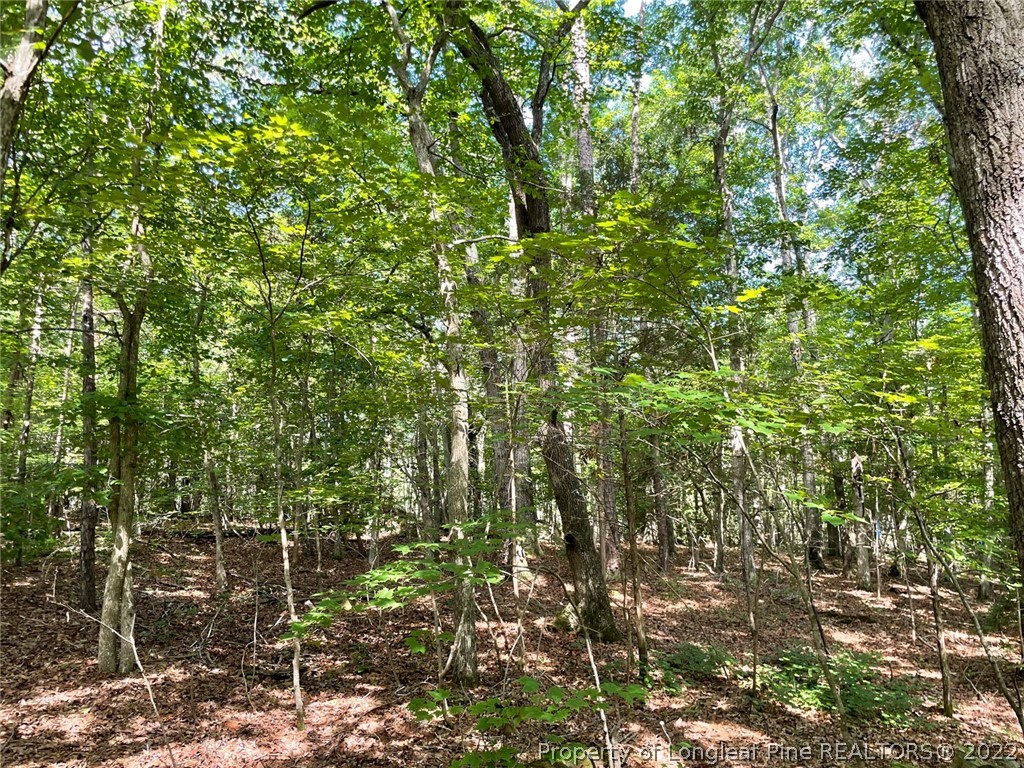 Bennett-siler City Rd Street Bennett, NC 27208 - Photo 16 of 21 Gallery Image 16