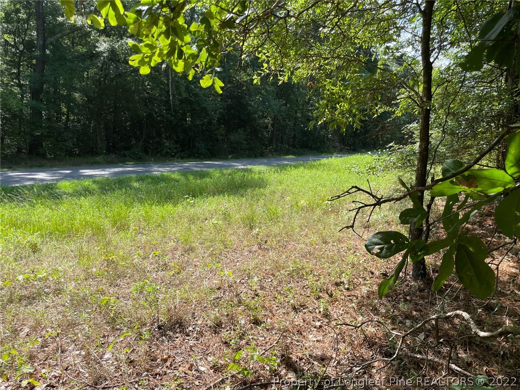 Bennett-siler City Rd Street Bennett, NC 27208 - Photo 17 of 21 Gallery Image 17