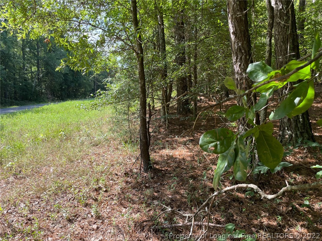 Bennett-siler City Rd Street Bennett, NC 27208 - Photo 18 of 21 Gallery Image 18