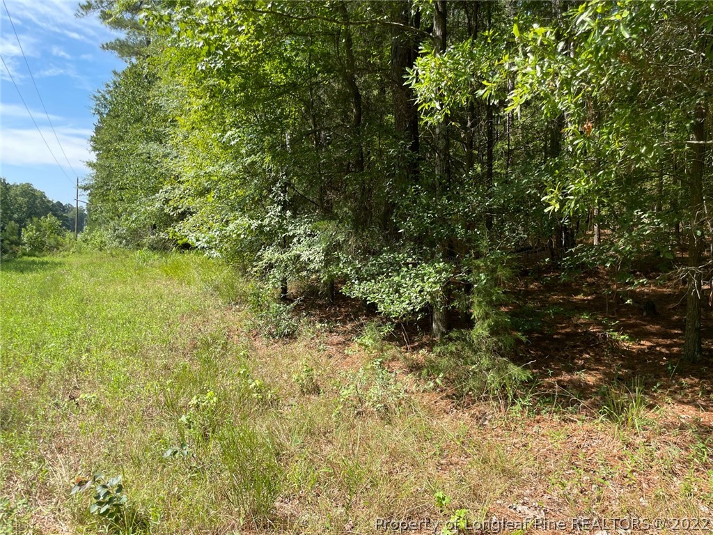 Bennett-siler City Rd Street Bennett, NC 27208 - Photo 19 of 21 Gallery Image 19