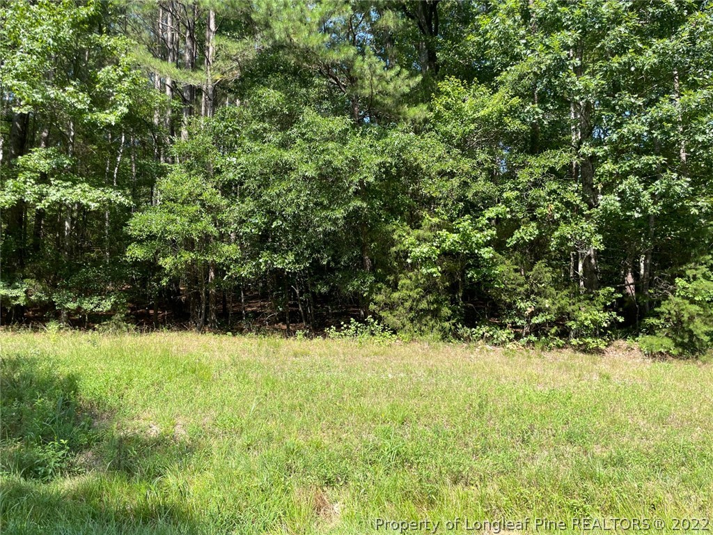 Bennett-siler City Rd Street Bennett, NC 27208 - Photo 20 of 21 Gallery Image 20