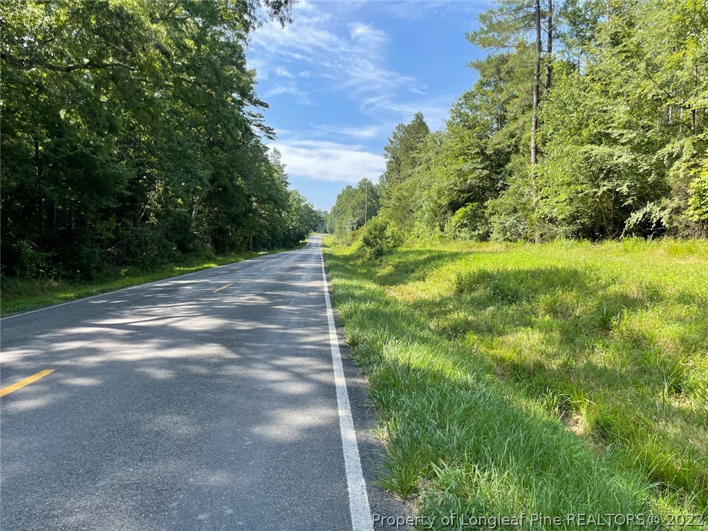 Bennett-siler City Rd Street Bennett, NC 27208 - Photo 21 of 21 Gallery Image 21
