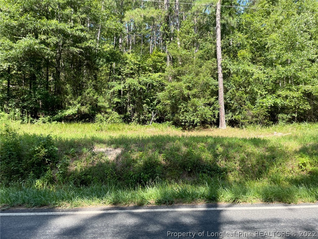 Bennett-siler City Rd Street Bennett, NC 27208 - Photo 8 of 21 Gallery Image 8