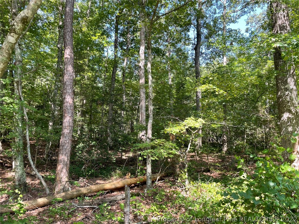 Bennett-siler City Rd Street Bennett, NC 27208 - Photo 10 of 21 Gallery Image 10