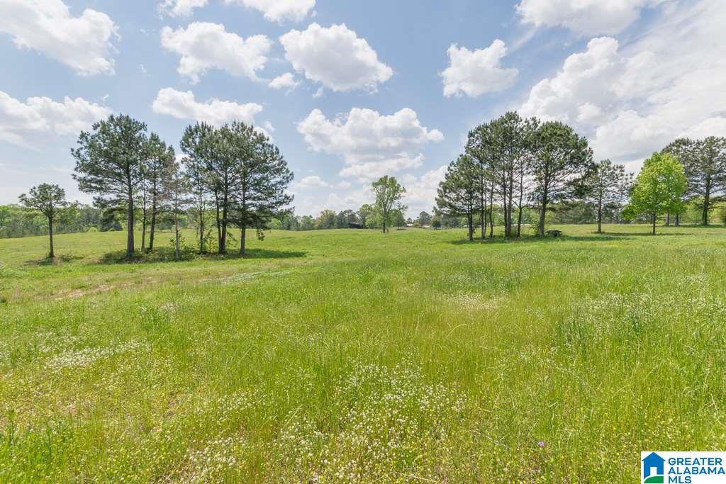 1210 County Road 61 Clanton, AL 35046 - Photo 44 of 50