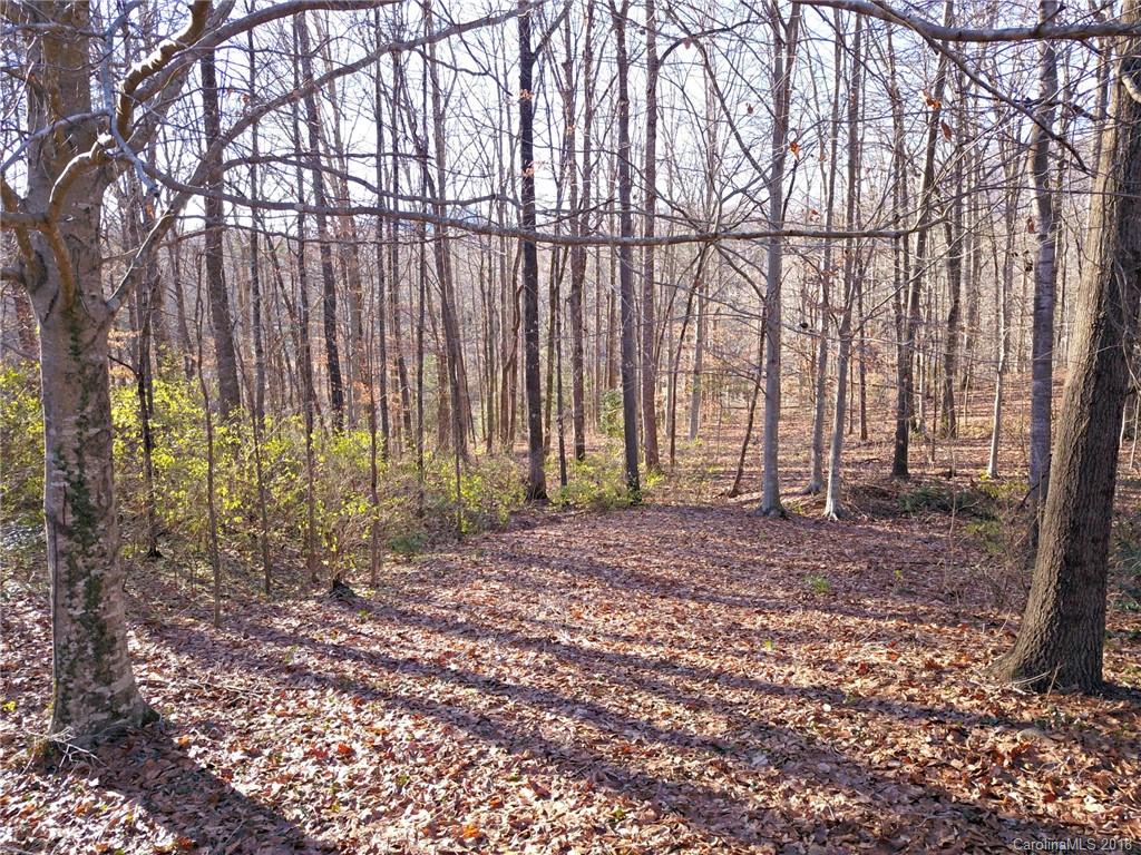 724 Laurel Ridge Road, Unit 23&24 Columbus, NC 28722 - Photo 24 of 25 a view of backyard with green space