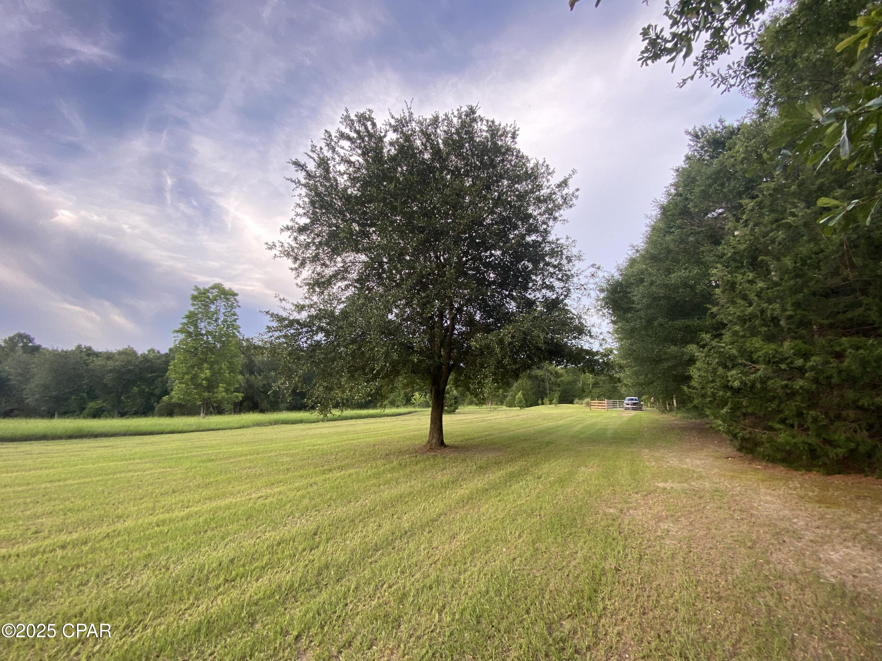 2038 Caney Branch Road Bonifay, FL 32425 - Photo 26 of 38 Gallery Image 26