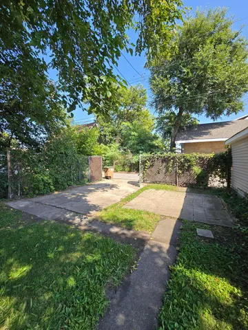 a view of a yard with plants and trees