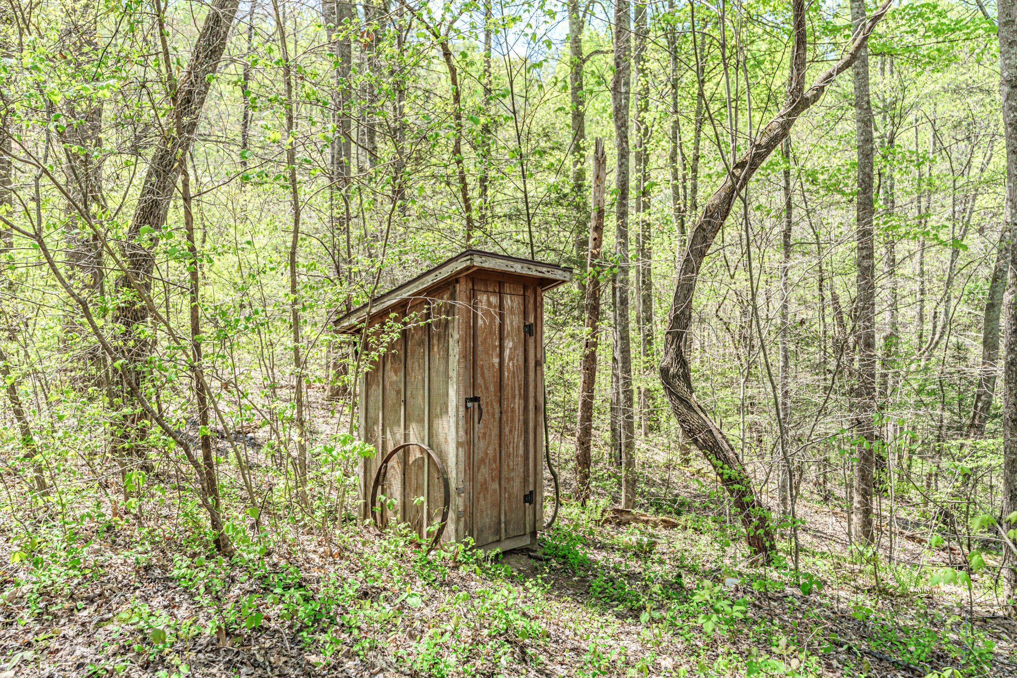 5192 Jones Cove Road Cosby, TN 37722 - Photo 5 of 12 Gallery Image 5