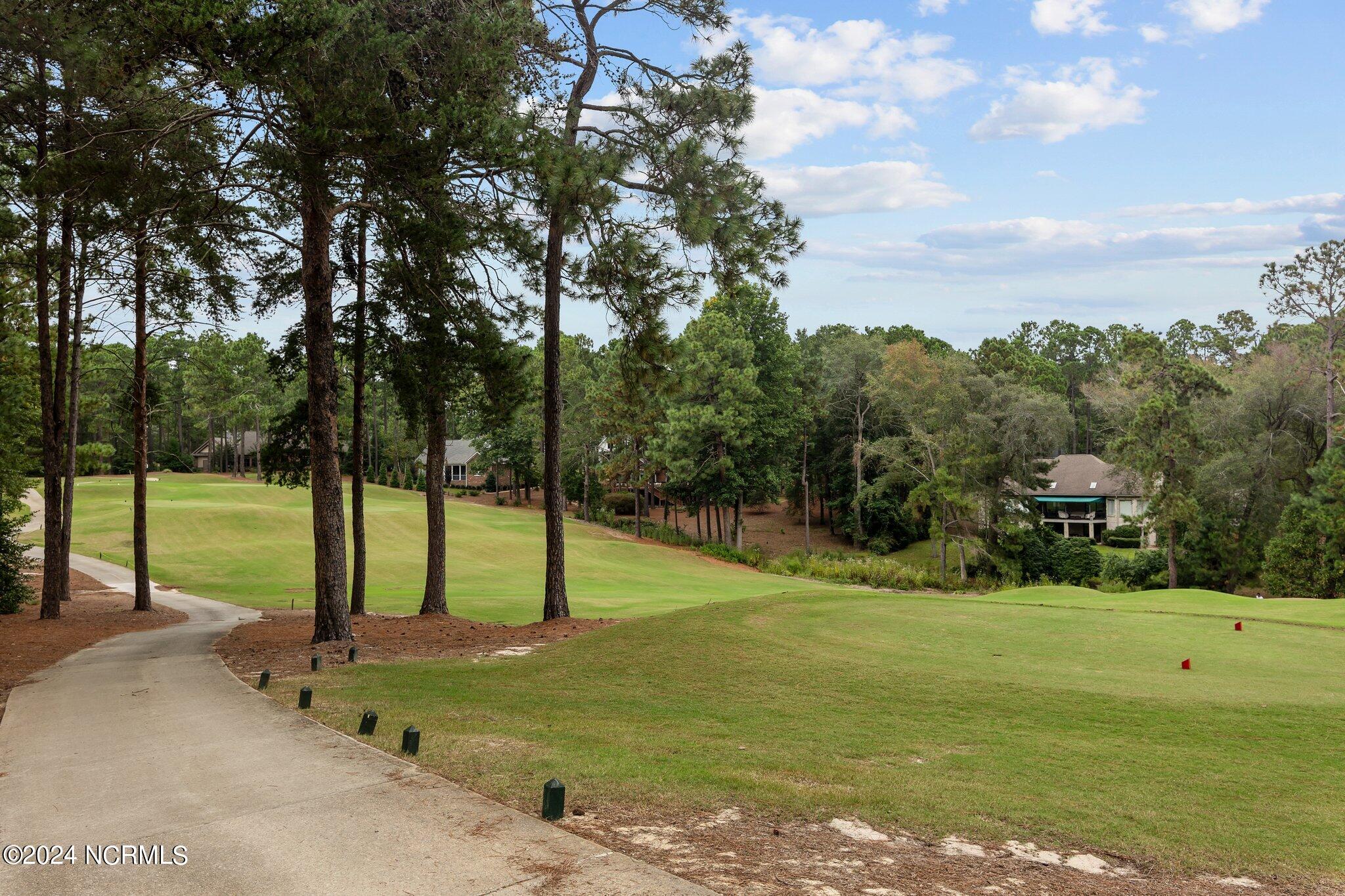 205 Kings Ridge Court Southern Pines, NC 28387 - Photo 14 of 59 43-web-or-mls-707A0885