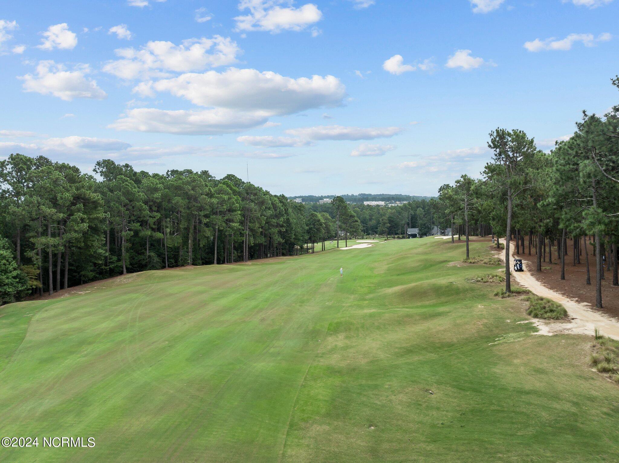 205 Kings Ridge Court Southern Pines, NC 28387 - Photo 17 of 59 57-web-or-mls-DJI_0782