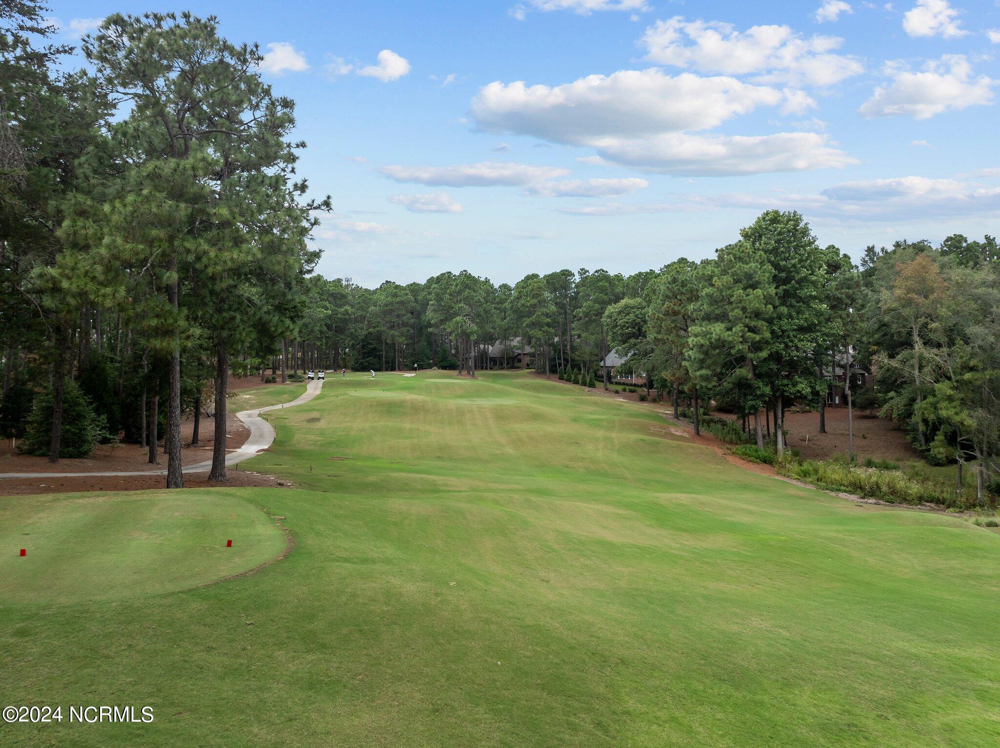 205 Kings Ridge Court Southern Pines, NC 28387 - Photo 18 of 59 56-web-or-mls-DJI_0781